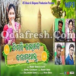 Chimni Kalane Banaguthalu (Rohit Bhoi ,Arti) Sambalpuri Song